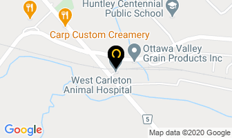 West Carleton Animal Hospital in Guelph map