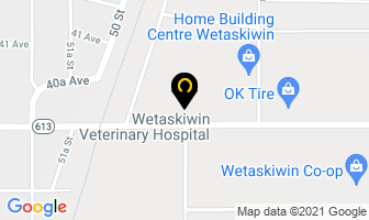 Wetaskiwin Veterinary Hospital in Dorchester map
