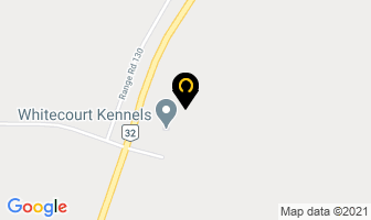 Whitecourt Kennels in Kirkland map