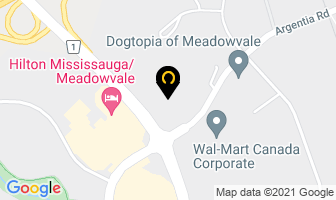 Williamson-Dickie Canada Co in Mississauga map