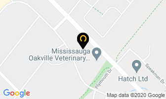 Winston Park Family Physicians in Burlington map