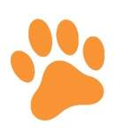 Photos of My Family Pet Clinic