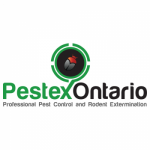 Photos of Pestex Pest Control Hamilton