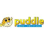 Photos of Puddle Pool Services