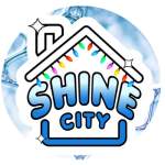 Photos of Shine City Christmas Light Installation