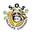 Photos of Sos Wildlife Control