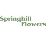 Photos of Springhill Flowers