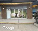 Exterior picture of Bosley's By Pet Valu Peachtree Square