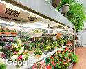 Exterior picture of Broadview Flower Market