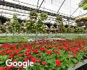 Exterior picture of Central Botanical Growers