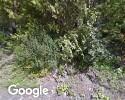 Exterior picture of Little Bears Child Care