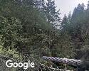 Exterior picture of Lynn Canyon Ecology Centre