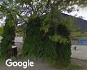 Exterior picture of Reptile Shed