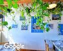 Exterior picture of Solstice Seasonal Cuisine