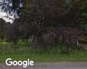 Exterior picture of The Sharing Farm Society