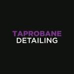 Photos of Taprobane Detailing