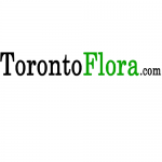 Photos of Toronto Flora - Online Flower Delivery Service In Toronto