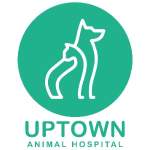 Photos of Uptown Animal Hospital