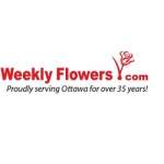 Photos of Weekly Flowers Ottawa