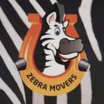 Photos of Zebra Movers North York