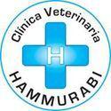 Fotos de Adiestramiento Canino En Coquimbo Veterinaria Hammurabi