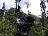 Fotos de Alerce Mountain Lodge