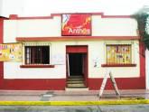 Fotos de Anthos