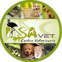 Centro Veterinario En Buin Iasavet