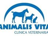 Fotos de Clinica Veterinaria En La Serena Animalis Vita