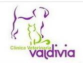 Fotos de Clinica Veterinaria Valdivia