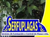 Fotos de Empresa De Fumigacion Y Control De Plagas Serfuplagas Ltda