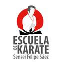 Fotos de Escuela De Karate Para Niños Concepción Sensei Felipe Saez