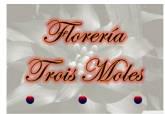 Fotos de Florería Trois Moles