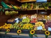 Fotos de Frutas Y Verduras Por Mayor Y Menor