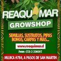 Grow Shop En Machali Rancagua Reaquemar