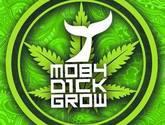 Grow Shop Metro Tobalaba Providencia Moby Dick Grow