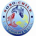 Fotos de Importadora Accesorios Acuarios Mascotas Meiggs La Vitalidad