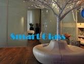 Fotos de Laminas Antirrobo En Santiago Smart Glass