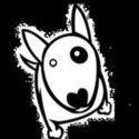 Peluquería Canina Av. Irarrazaval Ñuñoa Kchorro