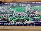 Fotos de Prestación De Personal Servicios Agrícola En Paine J.f. Spa