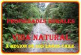 Fotos de Propiedades Rurales Vida Natural