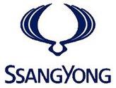Repuestos Ssangyong En Melipilla Centro Especialista