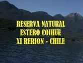 Fotos de Reserva Natural Estero Coihue