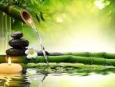 Spa Centro Belleza Integral En Iquique Woman