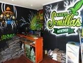 Fotos de Tienda Grow Shop En San Antonio Kaleta Semillas