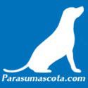 Fotos de Todo Para Su Mascota