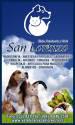 Veterinaria En Calama