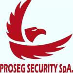 Proseg Security Privada