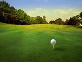 Fotos de Go Partner Golf