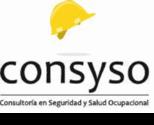 Fotos de Seguridad Industrial Consyso Sas